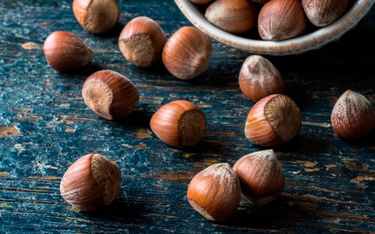 nocciole