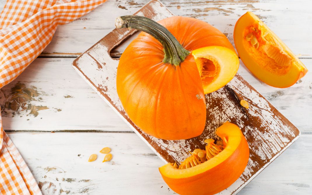zucca zucca