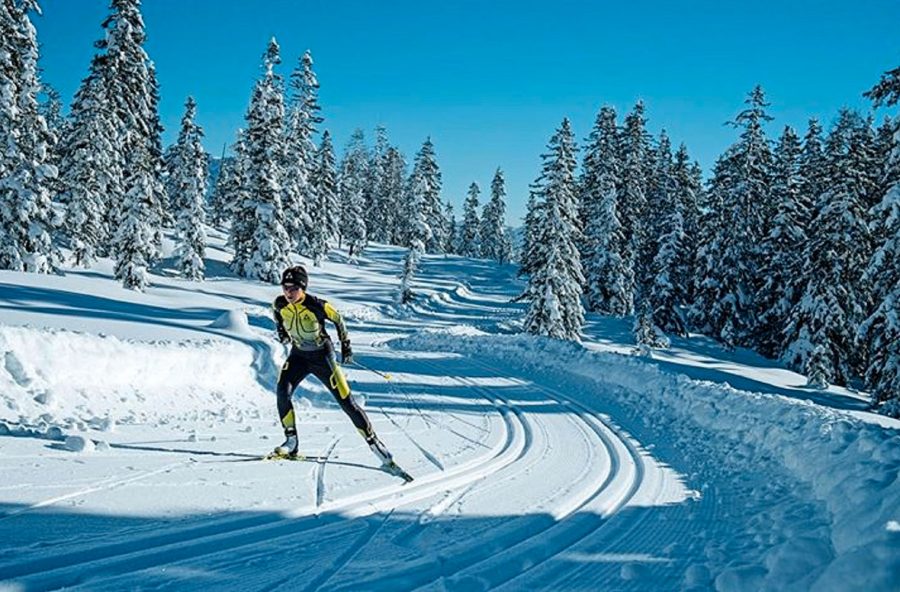 Percorsi-vita con gli sci da fondo