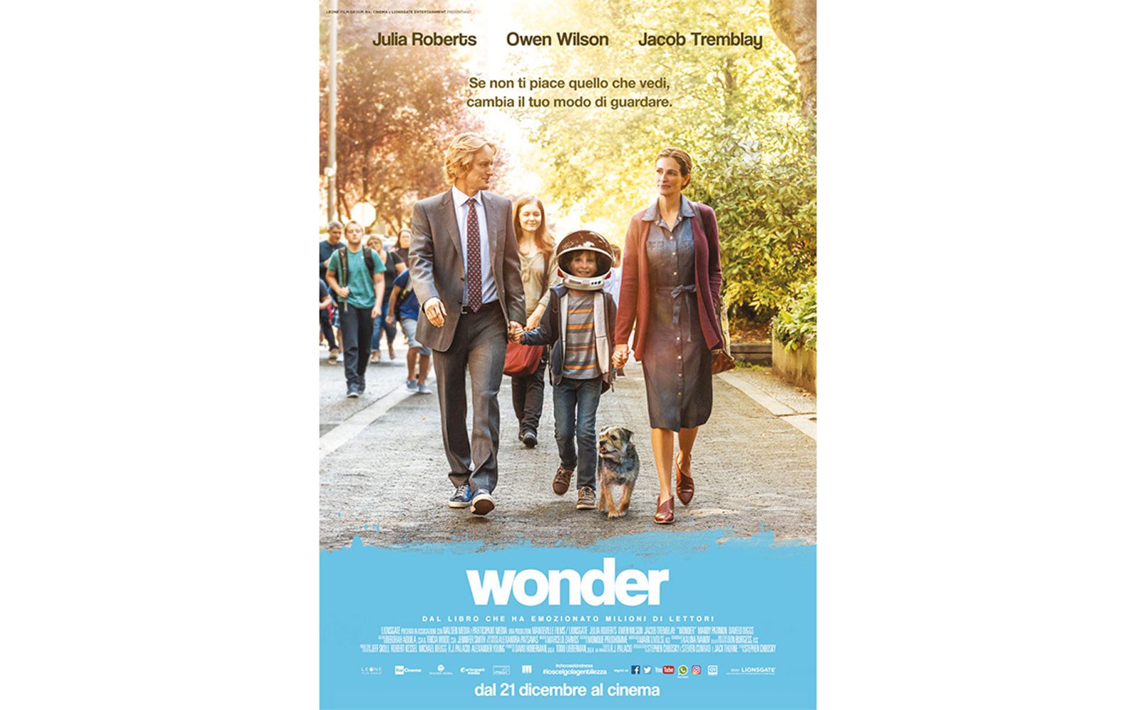 wonder