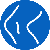 Apparato muscolo-scheletrico