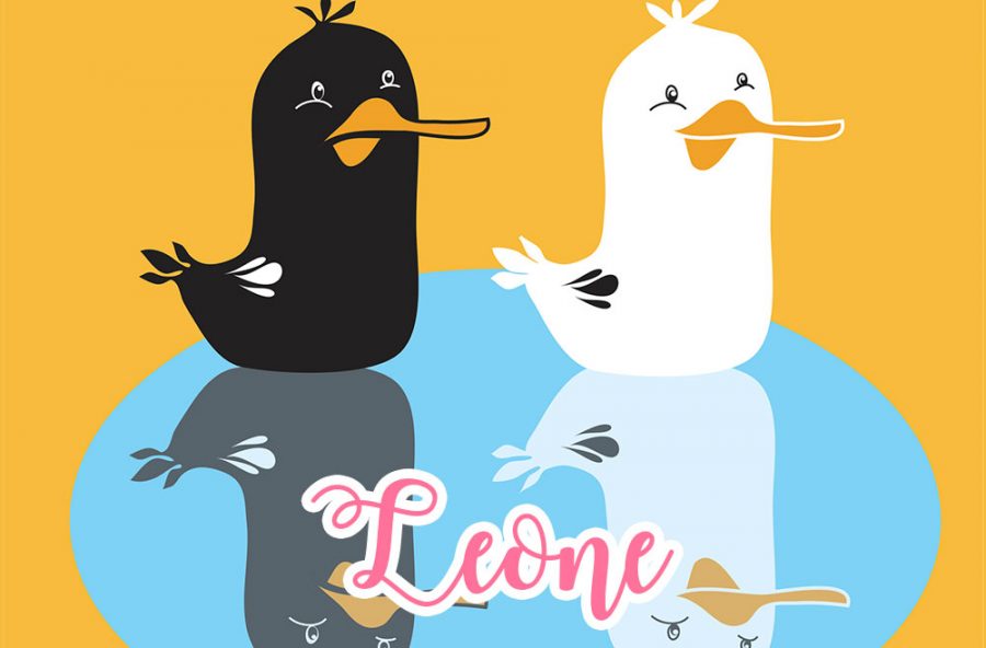 Leone: il Brutto Anatroccolo