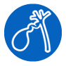 Malattie della cistifellea