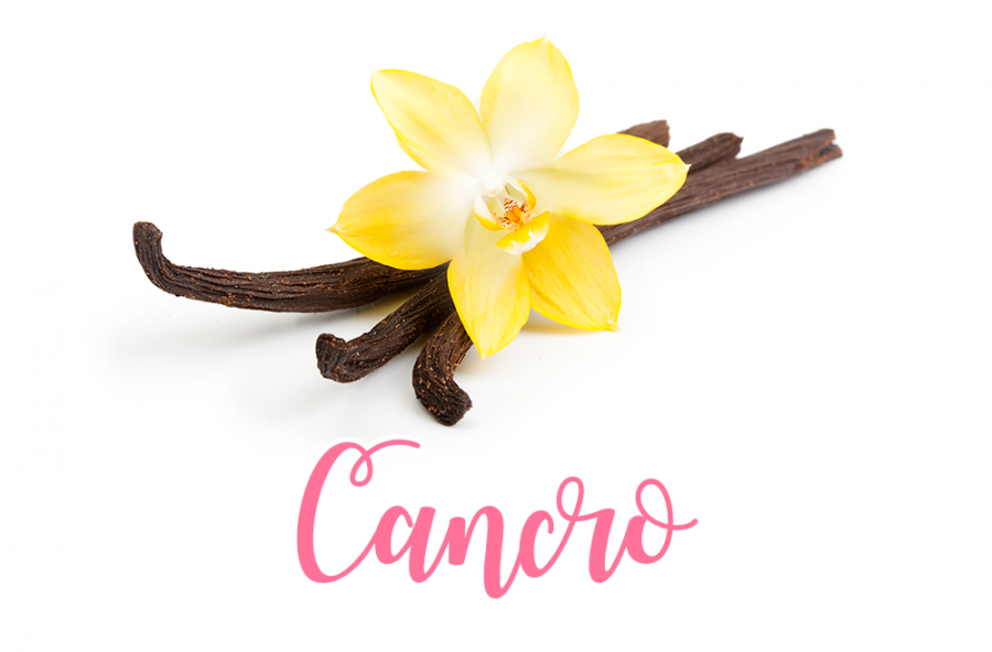 Cancro: dolce e persistente come la vaniglia