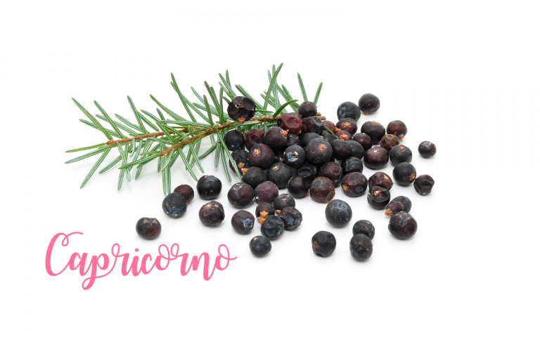 capricorno