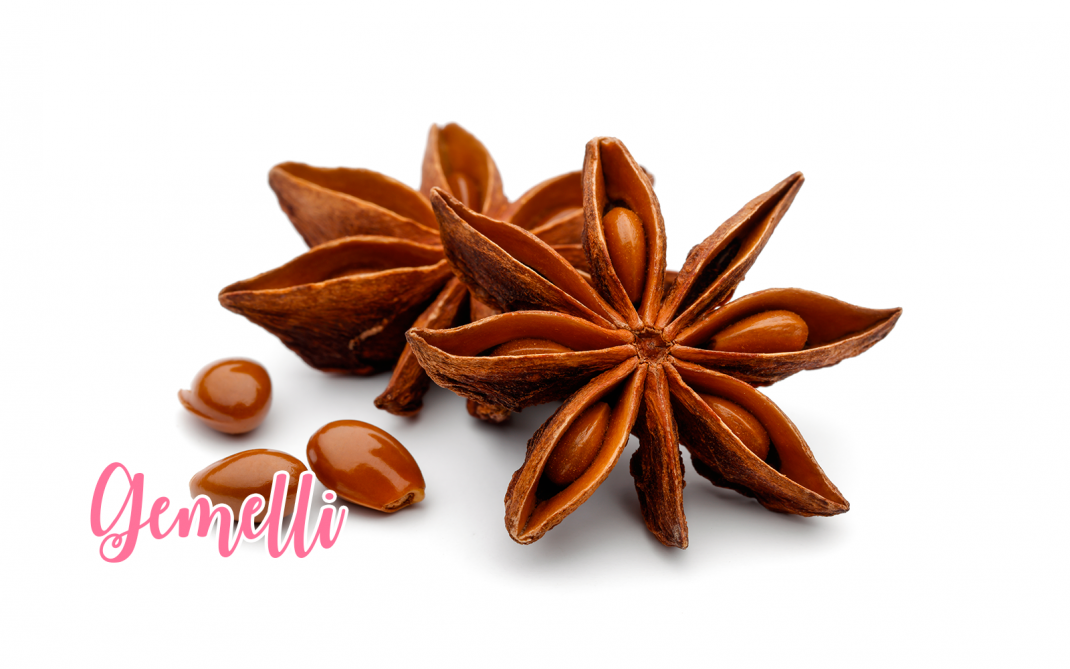 gemelli gemelli