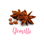 gemelli