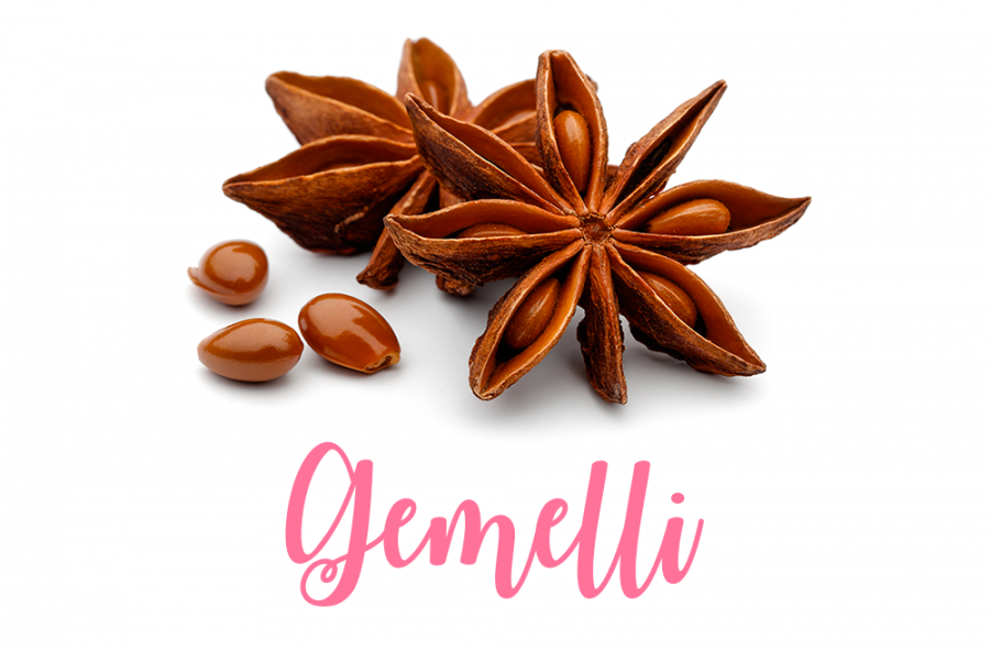 Gemelli: divertente e pungente come l’anice