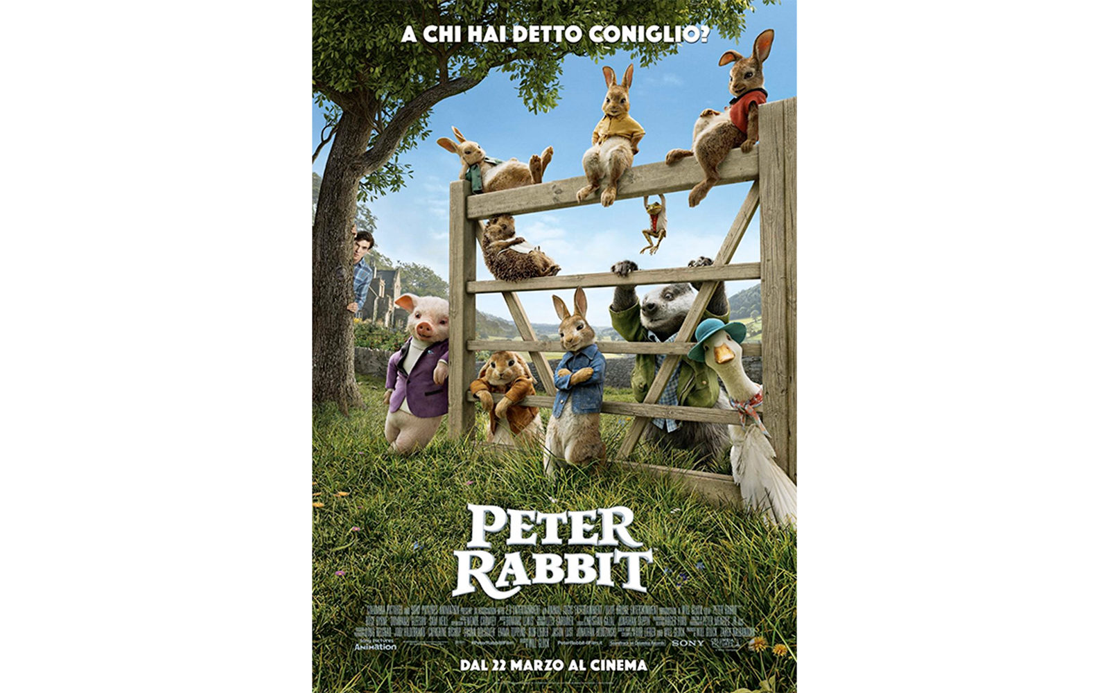 peterrabbit