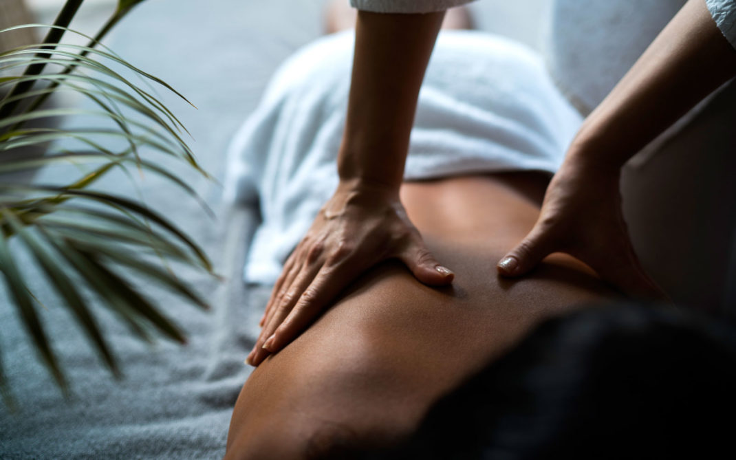 spicy-wellness spicy-wellness