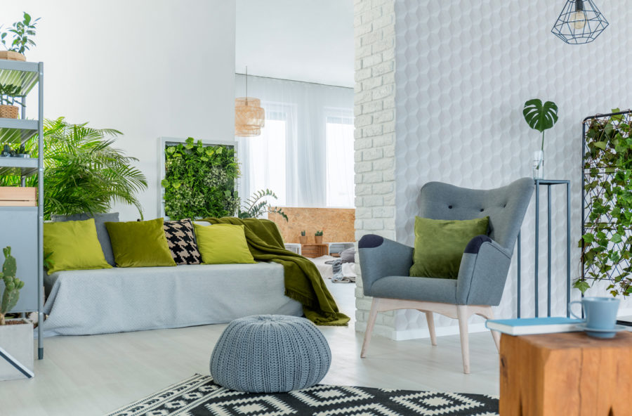 Piante da appartamento: scopri le 6 che depurano di più