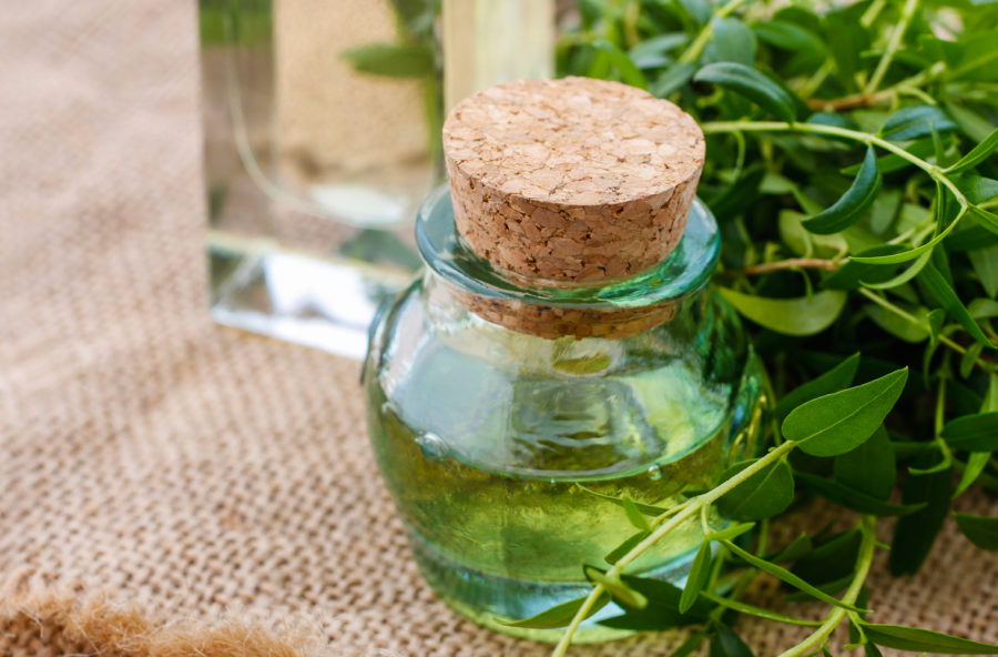 Mirto verde: scopri l’olio essenziale per massaggi, tisane e bagni profumati