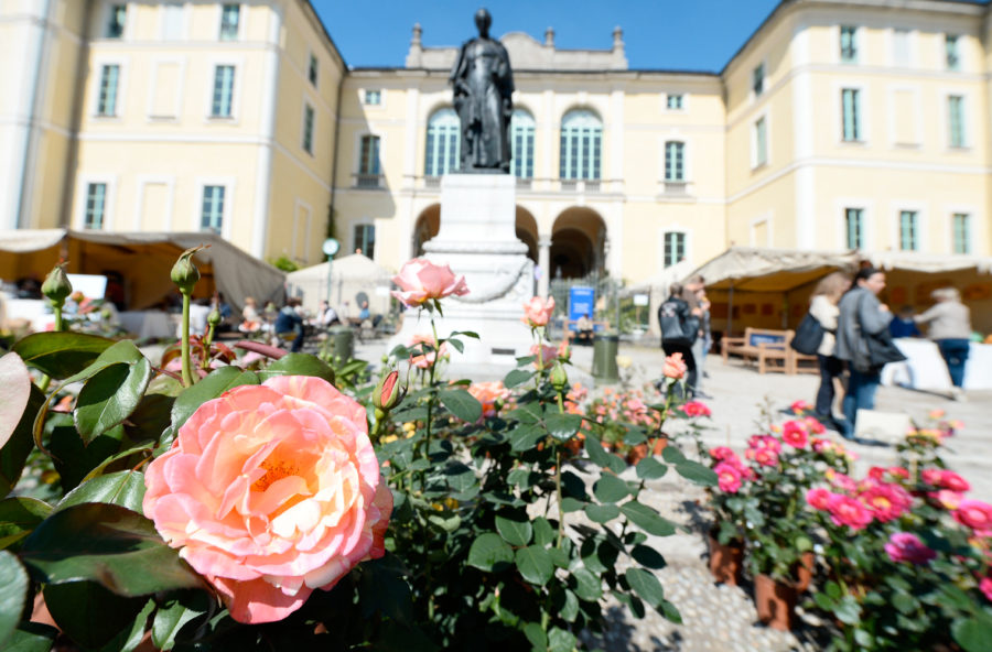 Orticola 2018, tra novità e tradizione
