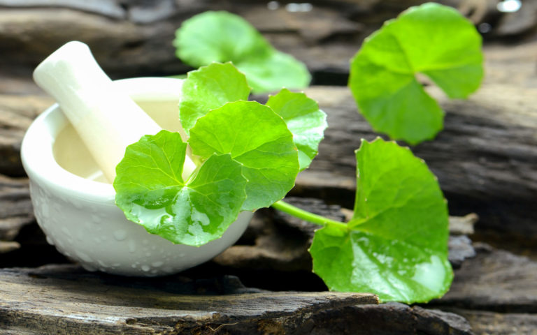 centella-x-dieta