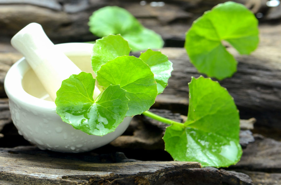 Cellulite, la Centella asiatica si fa in 3: sgonfia, tonifica, snellisce