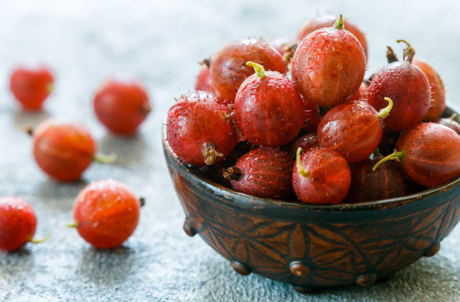 Cura detox all’uva spina