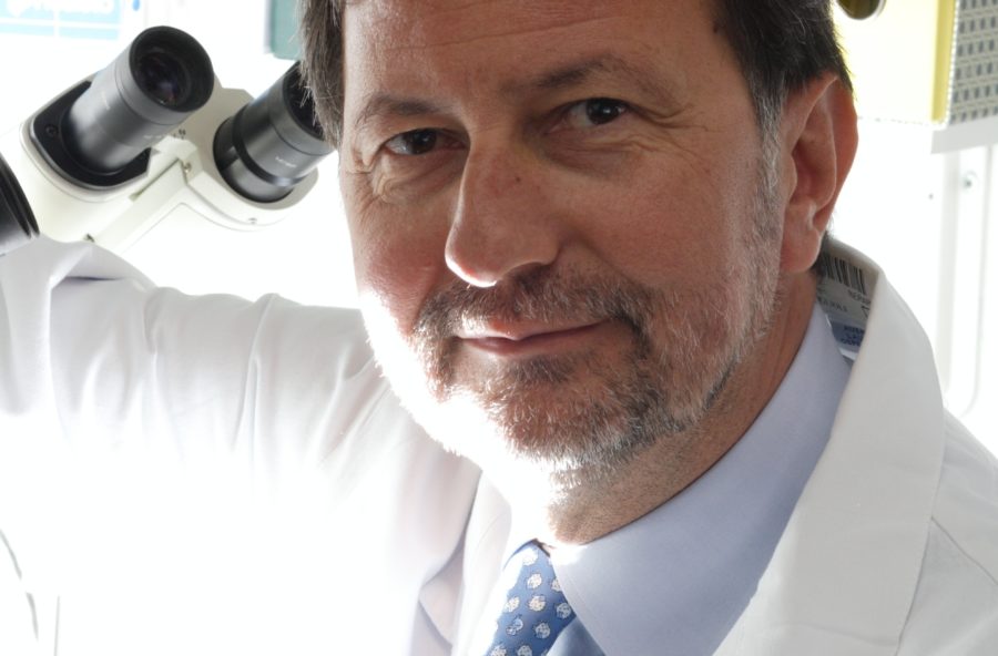 Professor Berardino Vaira