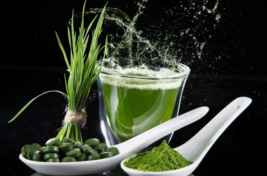 Alghe: una boccata di ossigeno