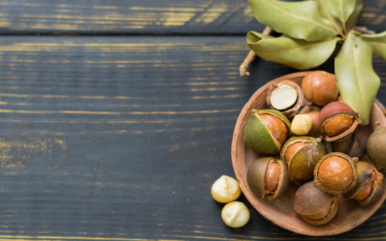 macadamia macadamia