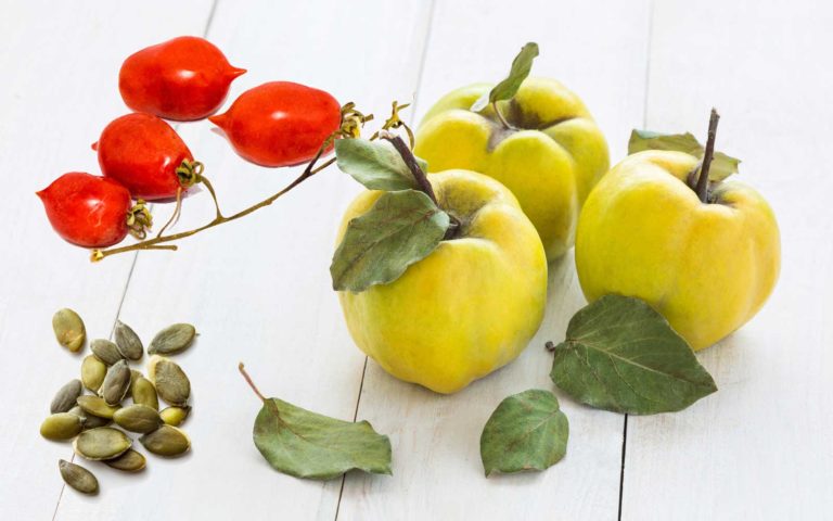 superfood nonna superfood nonna