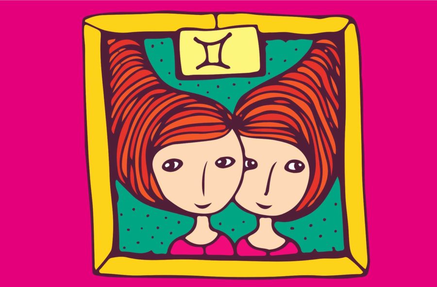 Gemelli: un anno chiacchierone