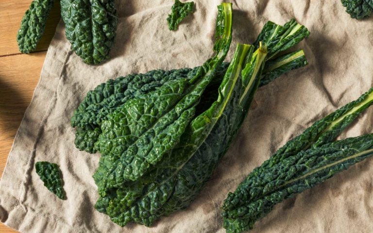 cavolo nero cavolo nero