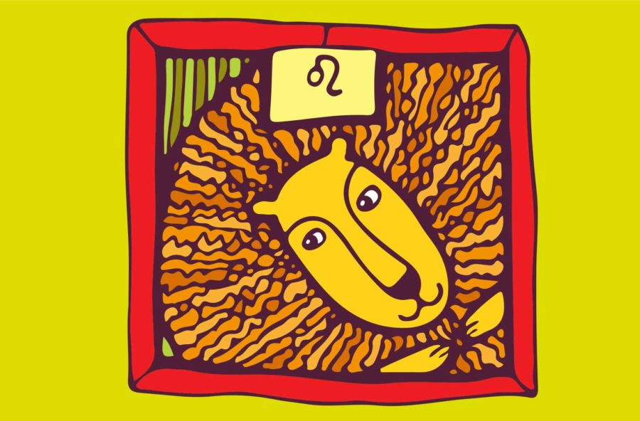 Leone: un anno generoso