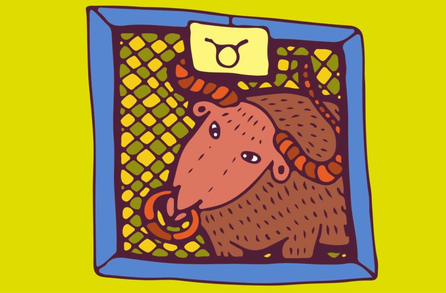 Toro: un anno di ribaltoni