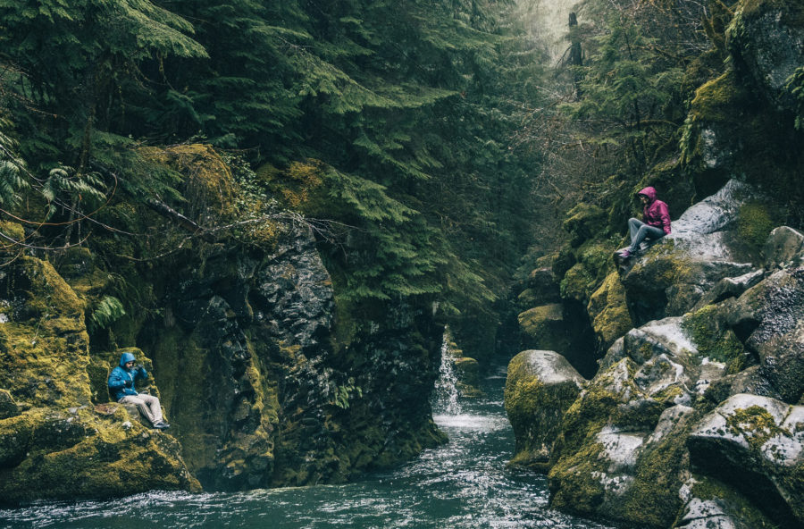 Shinrin-Yoku: nella natura selvaggia per ascoltare (e ritrovare) se stessi