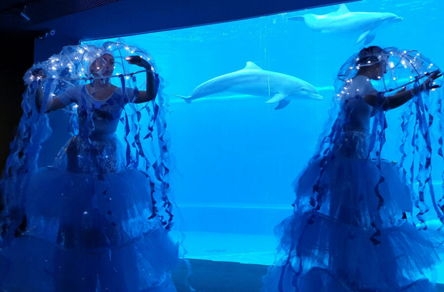 Acquario di Genova: spettacoli unici a primavera per vivere le emozioni del mare!