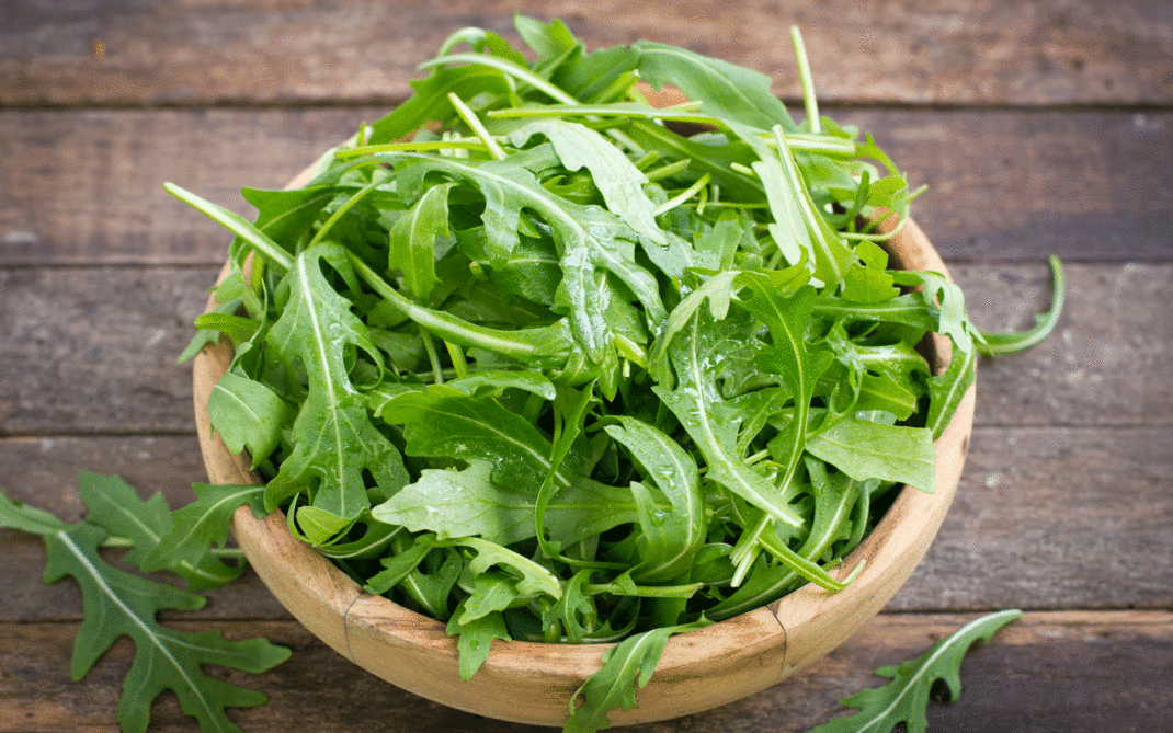 rucola-AdobeStock_67887886 rucola-AdobeStock_67887886