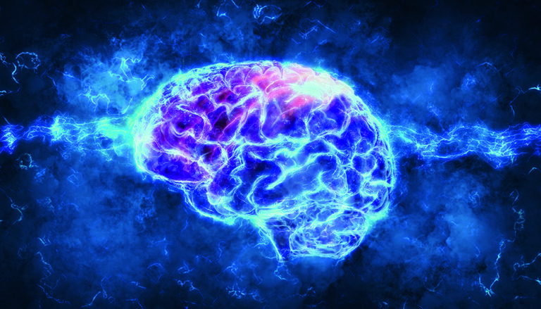 3d rendering of a brain; Shutterstock ID 1031892406