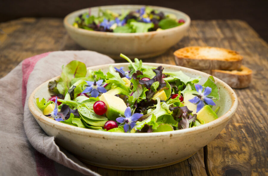Insalata con avocado e fiori di borragine salvalinea