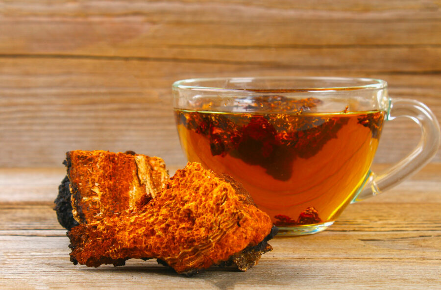 Superfood: scopri il fungo Chaga