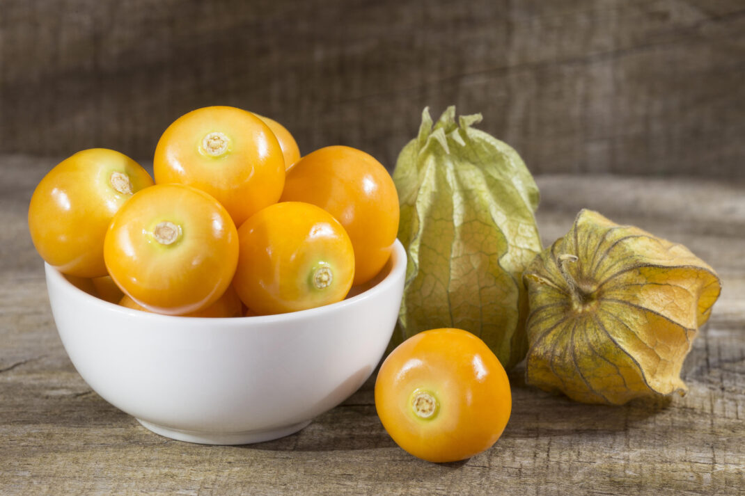 Golden berry Golden berry