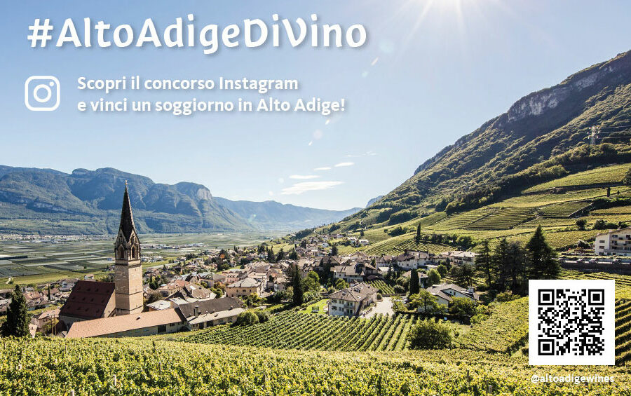 Al via il contest AltoAdigediVino