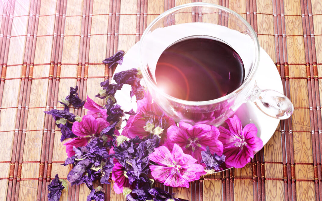 infuso malva infuso malva