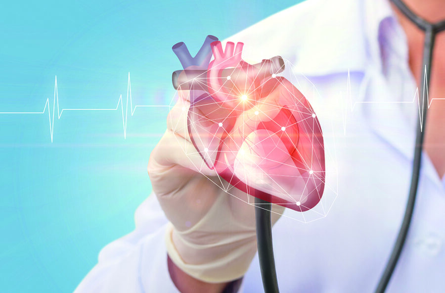 Tumore, un ologramma le salva il cuore Tumore, un ologramma le salva il cuore