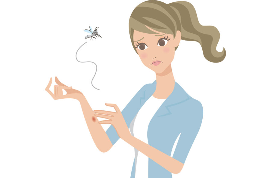 Zanzare: contro le punture la soluzione è naturale, profumata ed efficace