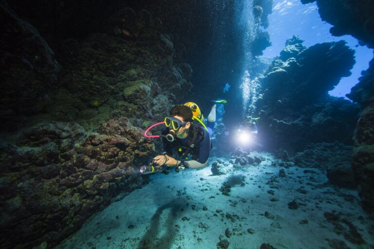 diving diving