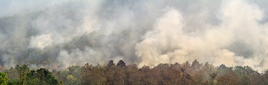 L’Amazzonia brucia, i pericoli per la salute