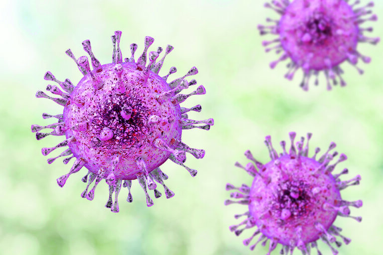 Cytomegalovirus CMV, a DNA virus from Herpesviridae family. 3D illustration. CMV mostly causes diseases in newborns and immunocompromised patients Cytomegalovirus CMV, a DNA virus from Herpesviridae family. 3D illustration. CMV mostly causes diseases in newborns and immunocompromised patients