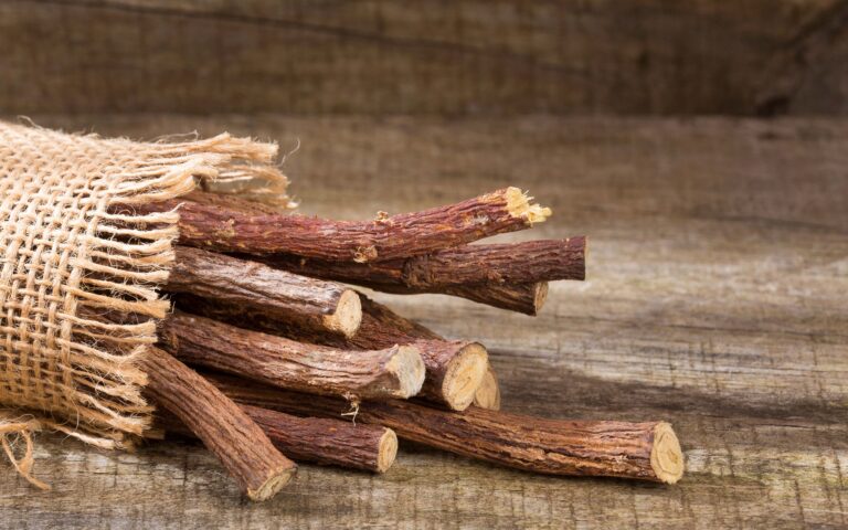 Licorice roots - Glycyrrhiza glabra; Shutterstock ID 1060098332; Pubblicazione: SLD online