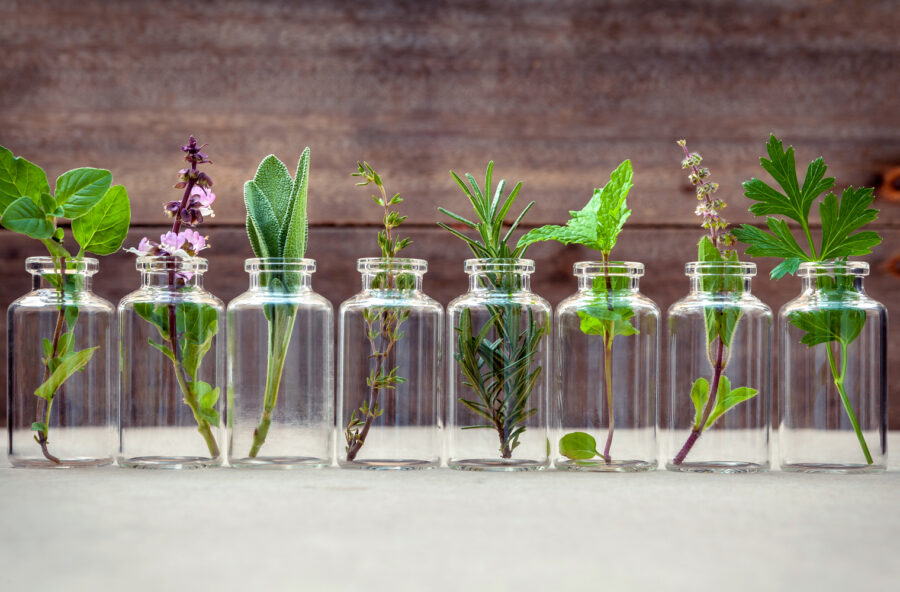 Quotidiane essenze di bellezza