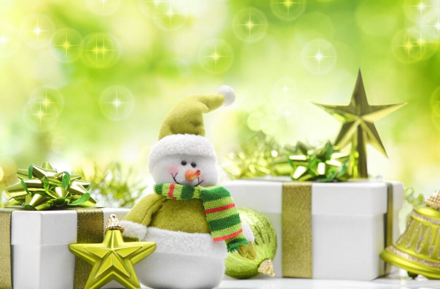 Idee per un Natale green