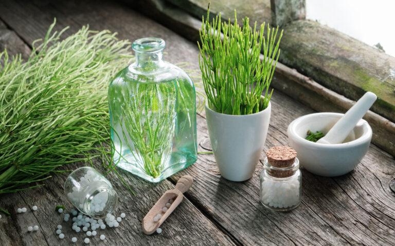 Horsetail healing herbs, bottle of equisetum infusion, mortar and bottles of homeopathic globules. Homeopathy and herbal medicine.; Shutterstock ID 1144564559; Pubblicazione: SLD online