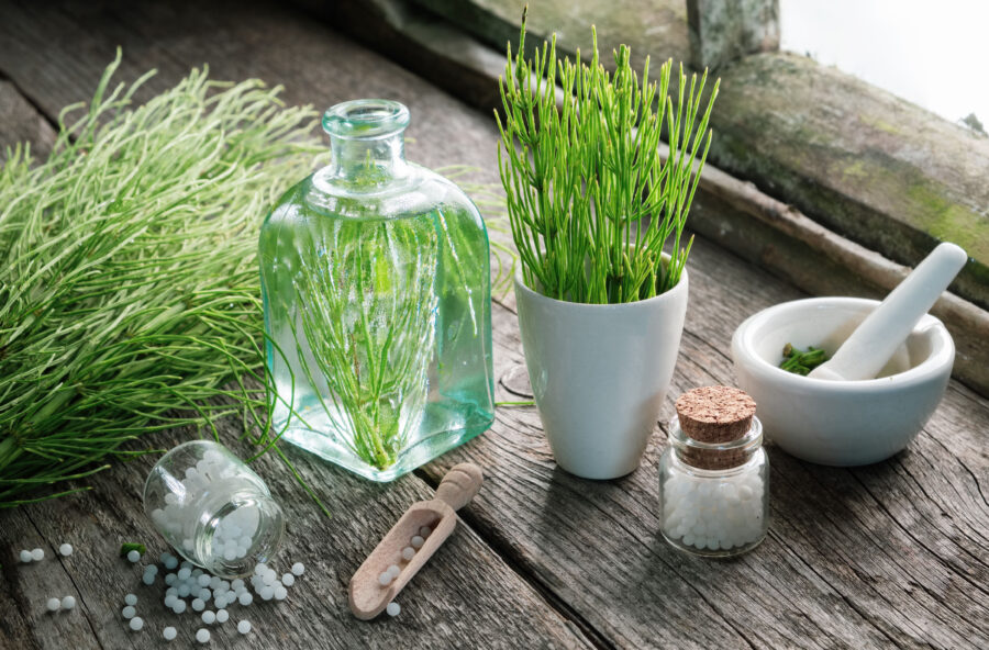 Pelle secca: prova la polvere di equiseto come idratante naturale