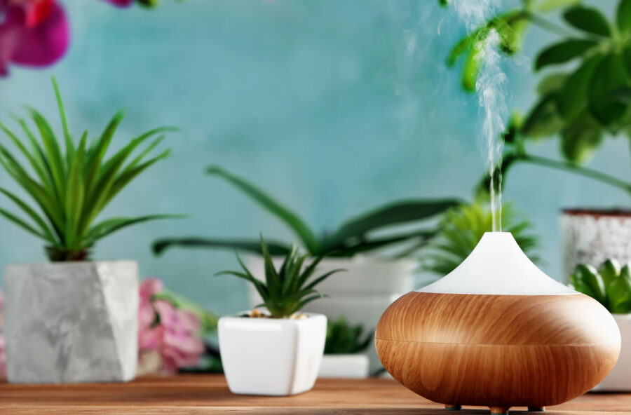 Pelle più bella? Migliora l’aria di casa