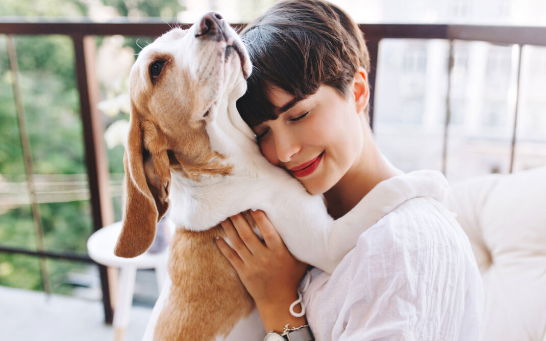 pet therapy pet therapy
