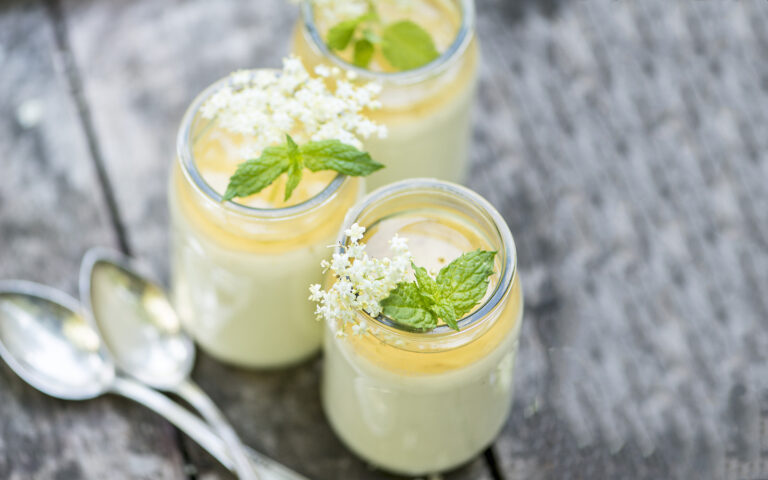 panna cotta ai fiori di sambuco